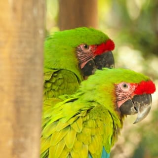 Medellín Conservation Park: Skip-the-line admission 8