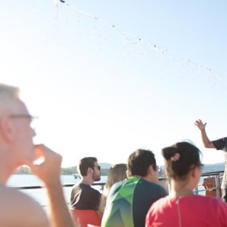 Half Day Dolphin & Wildlife Cruise - Tauranga 14