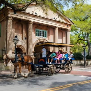 Daytime Horse-Drawn Carriage Sightseeing Tour of Historic Charleston 9