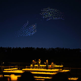 DroneArt Show : un concert de musique et un spectacle de lumière à Turin - Liste d'attente 3