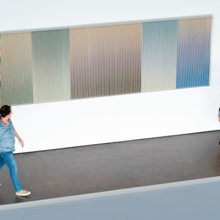 The Museum of Fine Arts, Houston: ALL ACCESS Ticket 3