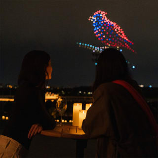 DroneArt Show : un concert de musique et un spectacle de lumière à Turin - Liste d'attente 5