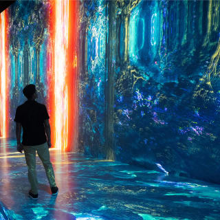 ARTECHOUSE Presents: Fractal Worlds 10