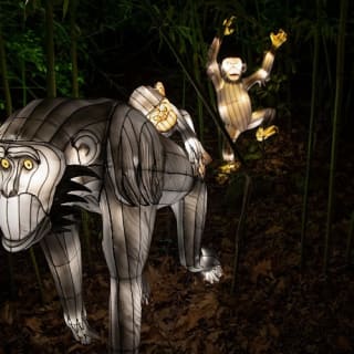 Bronx Zoo: Holiday Lights Tickets 28