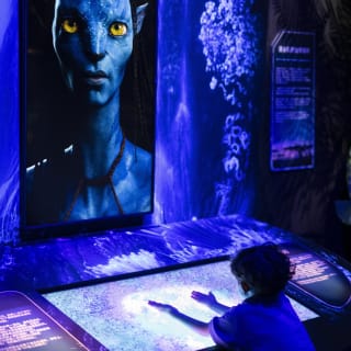 Avatar: The Experience - Madrid - Gift Card 2