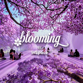 BLOOMING: La Ciudad Florece - Experiencia inmersiva inspirada en las jacarandas de CDMX 1