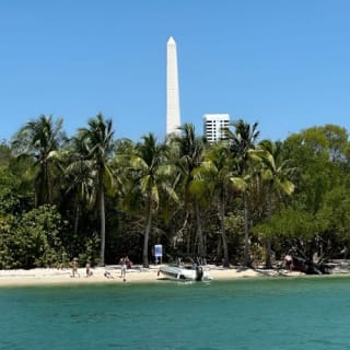 Biscayne Bay: Una Aventura de Snorkel Guiada desde South Beach 2