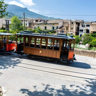 Tour turistico di Maiorca in un giorno con giro in barca e treno d'epoca 24