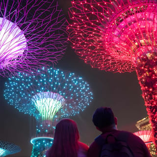 Big Bus Singapur Night Tour con espectáculo de luces en Gardens by the Bay 2