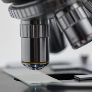 Ciencia 5 1