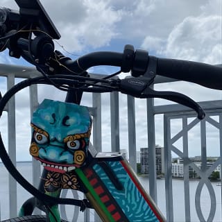 Electric Bike Art and Architecture Guided Tour in Jacksonville 10