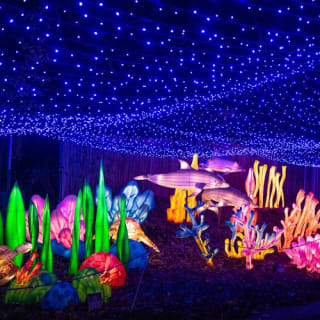 Bronx Zoo: Holiday Lights Tickets 38