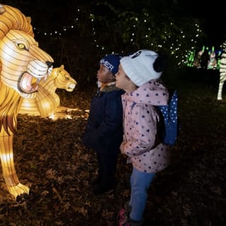 Bronx Zoo: Holiday Lights Tickets 42