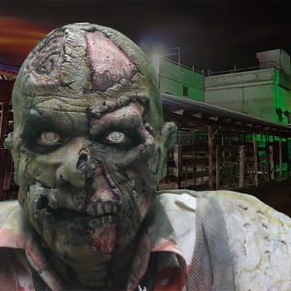 The Slaughterhouse 5