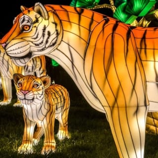 Bronx Zoo: Holiday Lights Tickets 45