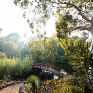 Rippon Lea Estate: Entry ticket 39