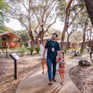 Port Stephens Koala Sanctuary 1