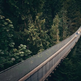 Vancouver: Scenic Twilight Tour with Capilano Park and Grouse Mountain 15