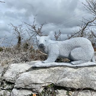 Burren Nature Sanctuary  4