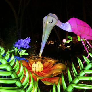 Bronx Zoo: Holiday Lights Tickets 53
