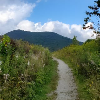 Privately Guided Half Day Hike 5