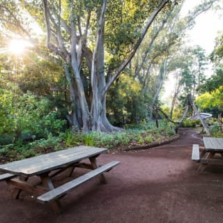 Rippon Lea Estate: Entry ticket 50