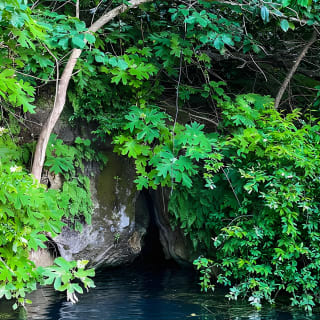 Clear Kayaking Eco Adventure Tour in Marianna 2