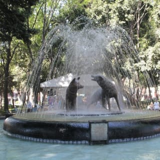 Coyoacán, Città del Messico - Gioco di esplorazione all'aperto 2