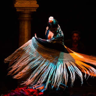 Flamenco Dance Museum: Solo spettacolo 21