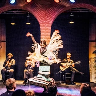 Flamenco Dance Museum: Solo spettacolo 22