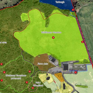Burren Nature Sanctuary  7