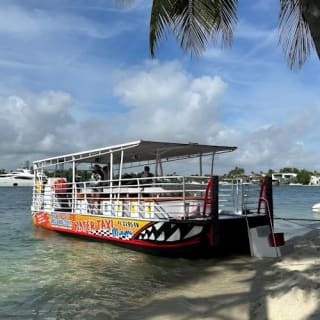 Biscayne Bay: Una Aventura de Snorkel Guiada desde South Beach 13
