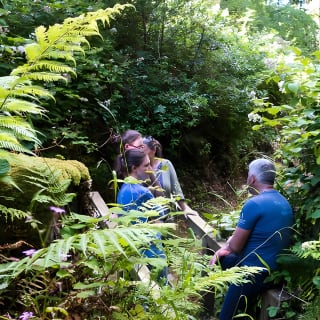 Placenames & Their Amazing Stories: includes a West Cork Picnic 7