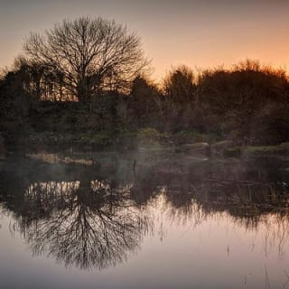 Burren Nature Sanctuary  8