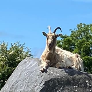 Burren Nature Sanctuary  9