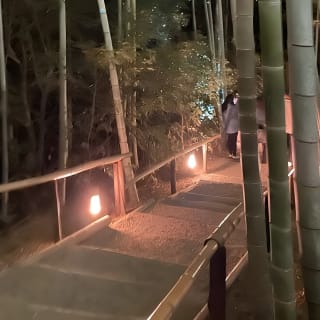 自転車で巡る夜の京都 4