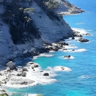Kayaking, snorkeling and homemade pizzas. 9