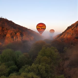 Exclusive Safari Flight 6