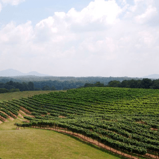 Mystery Picnic de Dahlonega: Aventura gastronómica autoguiada 1