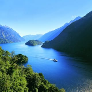 Doubtful Sound Wilderness Cruise from Queenstown 2