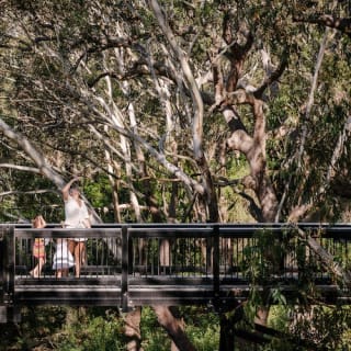 Port Stephens Koala Sanctuary 5
