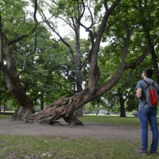 Budapest Shadows: Juego de exploración al aire libre 3