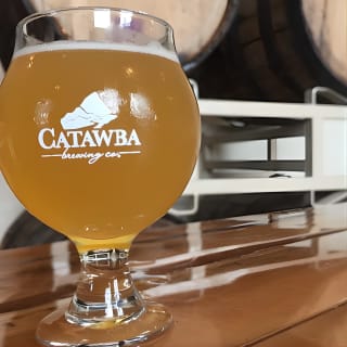Downtown Asheville Guided Brewery Walking Tour 2