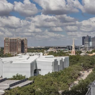 The Museum of Fine Arts, Houston: ALL ACCESS Ticket 9