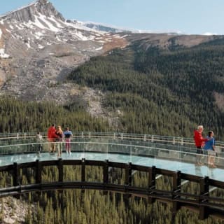 Columbia Icefield: Guided Day Tour from Banff + Skywalk Entry + Lunch 11