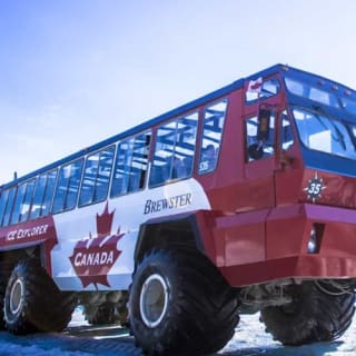 Columbia Icefield: Guided Day Tour from Banff + Skywalk Entry + Lunch 12