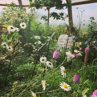 Burren Nature Sanctuary  14
