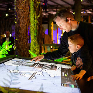 Vikings: The Immersive Experience 6