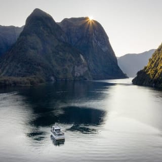 Doubtful Sound Wilderness Cruise from Queenstown 7