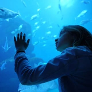 Palma de Mallorca: 2-Hour Catamaran Cruise + Swimming and Snorkeling 3
